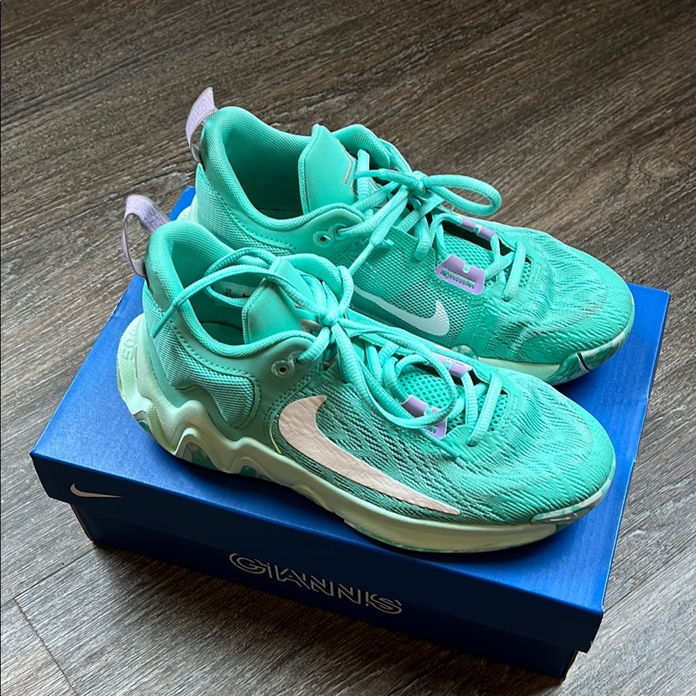 4Y Nike Kids Giannis Immortality 2 Basketball Shoe
